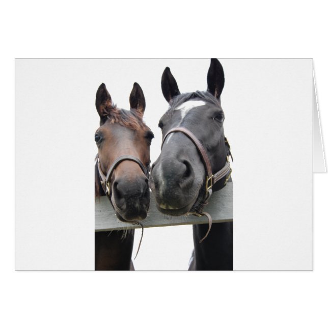 L'amour du cheval (Devant horizontal)