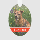 l'amour d'un chien (devant)
