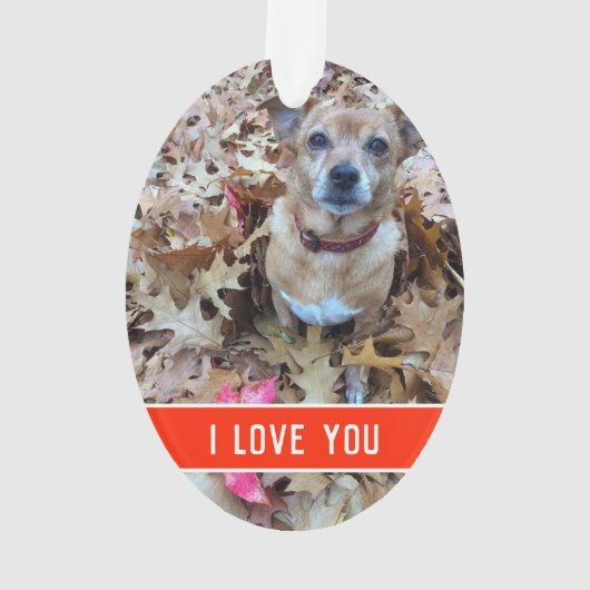 l'amour d'un chien (dos)