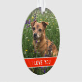 l'amour d'un chien (devant)