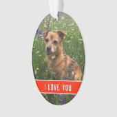 l'amour d'un chien (devant)