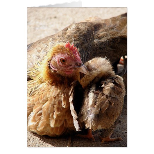 L'amour d'une mère, toute occasion Carte de voeux (Devant)