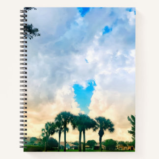 l'amour est dans le carnet aérien