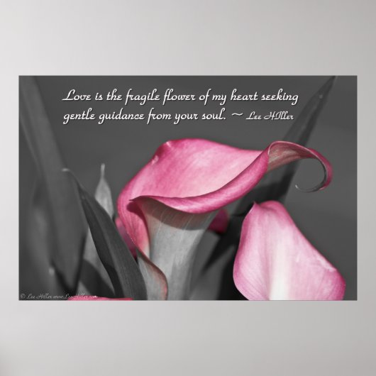 L'amour est la fleur fragile de... Poster (Devant)
