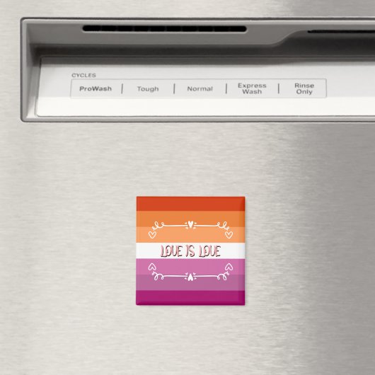 L'amour est l'amour Pride Mois Magnet (In Situ (Lave-vaisselle))