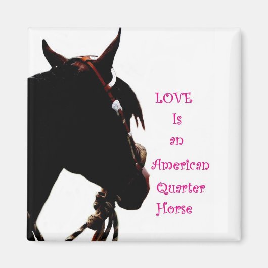 L'amour est un aimant à cheval du quart (Devant)