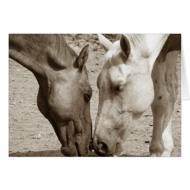 L'amour l'un l'autre (Devant horizontal)