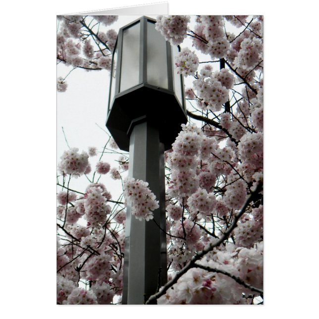 Lampe à fleurs (Devant)