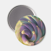 Lampe Boro Verre Mer Pastel Lotus Magnet (Recto/Verso)