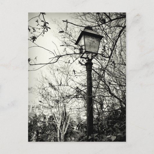 Lamppost in Parijs Briefkaart (Voorkant)