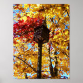 Lamppost Poster (Voorkant)