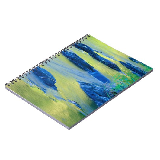 Lamprey | New Hampshire Notitieboek (Linkerzijde)