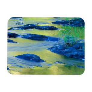 Lamprey River New Hampshire Magneet
