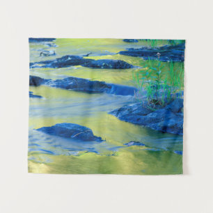 Lamprey River   New Hampshire Wandkleed