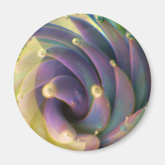 Lampwork Boro Glass Zee Pastel Lotus Bubble Magnet Magneet