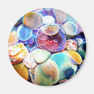 Lampwork Verre Abstrait Aimant en pierre sous-mari