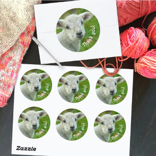 Lams Gezicht Bedankt Wol Zakelijk Ronde Sticker