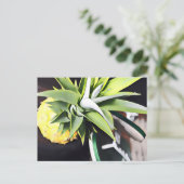 Lanai Day Trip briefkaart (Staand voorkant)