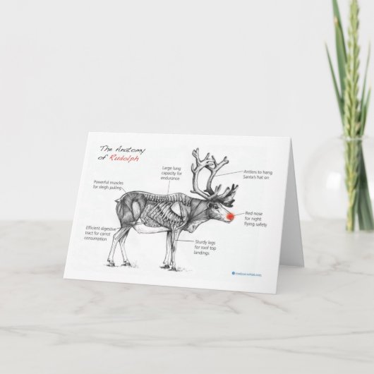 l'anatomie de la carte de Noël Rudolph (Devant)
