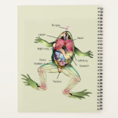 L'anatomie de la grenouille personnalisée (Dos)