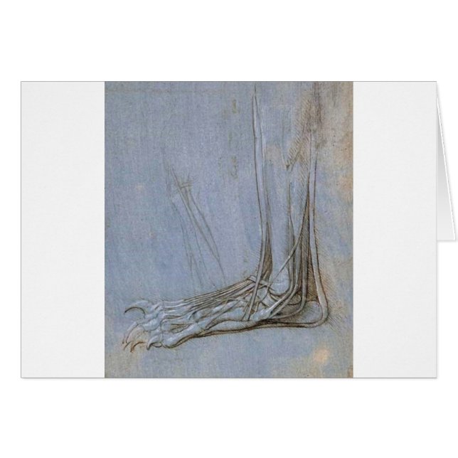 L'anatomie d'un pied d'ours (Devant horizontal)