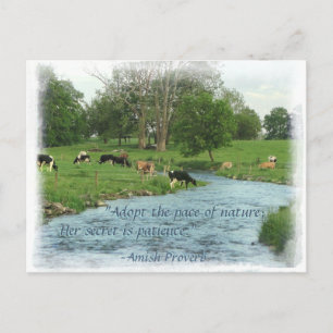 Lancaster Amish Briefkaart! Amish Proverb! KOPEN Briefkaart