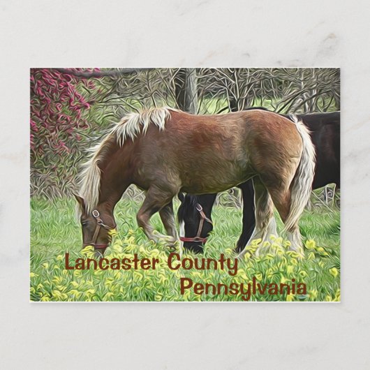 Lancaster County Pennsylvania - Ansichtkaart Briefkaart (Voorkant)