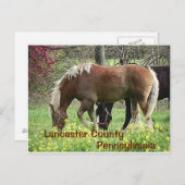 Lancaster County Pennsylvania - Carte postale (Devant / Derrière)