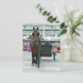 Lancaster Horse Briefkaart (Staand voorkant)