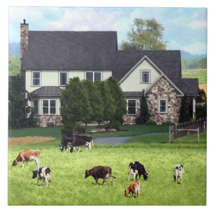 Lancaster PA - Familie Boerderij met Koeien in de Tegeltje
