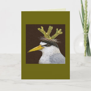 Lance the least tern card kaart
