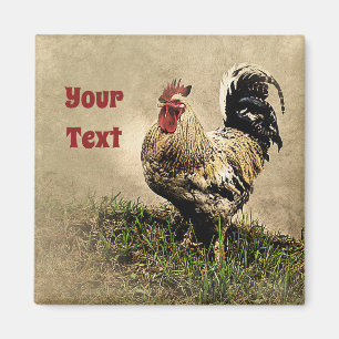 Land Chicken Rooster Magnet Magneet