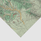Land Classification Map of Southwestern New Mexico Tissuepapier (Detail)