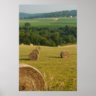 Land Hay Bales Poster