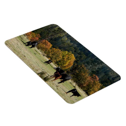 Land in de Herfst... Magneet (Rechterzijde)