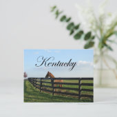 Land Kentucky Bluegrass Briefkaart (Staand voorkant)