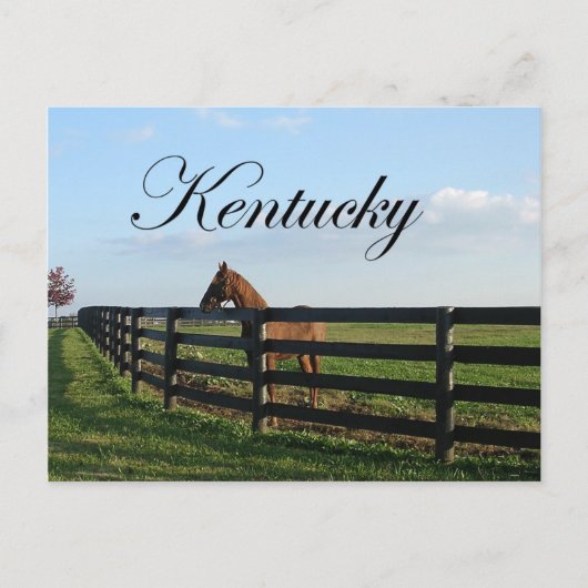 Land Kentucky Bluegrass Briefkaart (Voorkant)