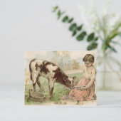  land, keukenkalf briefkaart (Staand voorkant)