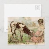  land, keukenkalf briefkaart (Voorkant / Achterkant)