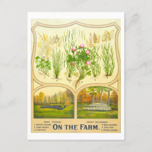 Land Life Farming  Lithograaf Briefkaart