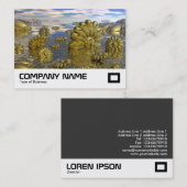 Land Midas Visitekaartje (Voorkant / Achterkant)