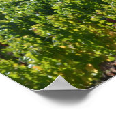 Land Napa Sonoma Valley Wine Poster (Hoek)