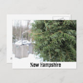 Land NH Winter Briefkaart (Voorkant / Achterkant)