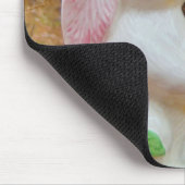 Land Pasen Muismat (Hoek)