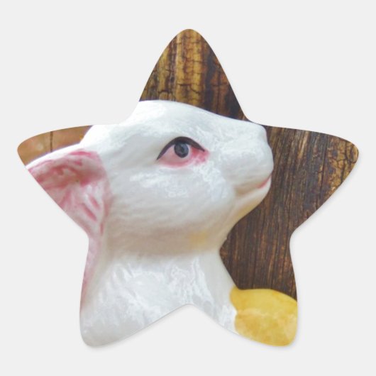 Land Pasen Ster Sticker (Voorkant)