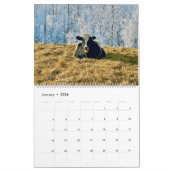 Land Pixs Koe Kalender 2024 (Jan 2026)