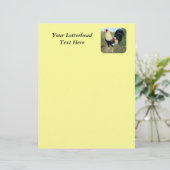 Land Road Gamecocock (Staand voorkant)