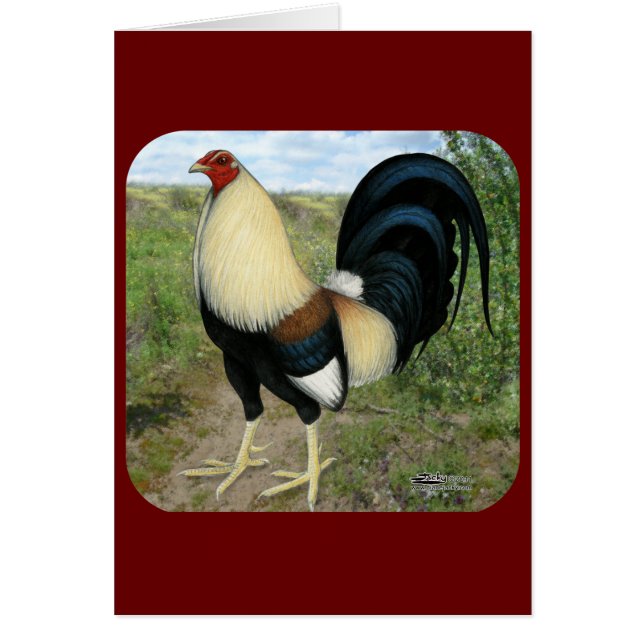 Land Road Gamecocock (Voorkant)