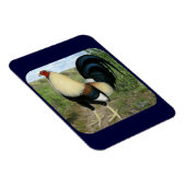 Land Road Gamecocock Magneet (Rechterzijde)