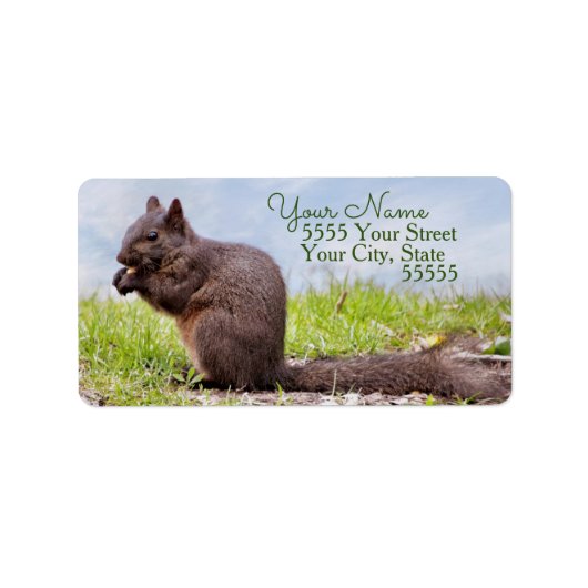 Land Squirrel Return Address Labels (Voorkant)